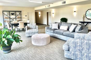 Living room with cozy couch